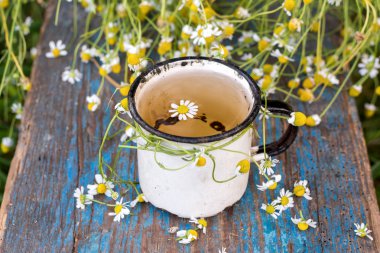 Mavi arka plan üzerinde papatya çiçeği ile bitkisel çay 