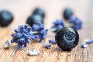 Yaban mersini ve ahşap arka plan üzerinde kurutulmuş lavanta Şubesi