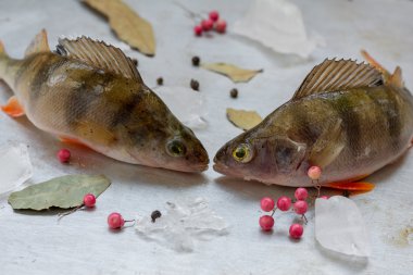 Dalları, pembe biber, defne yaprağı ve metal tepsi fırın buz parçaları ile ham Avrupa algılamak
