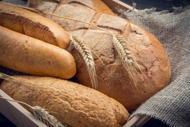 Çul çeşitli ekmek ve buğday kulaklara