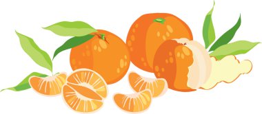 beyaz zemin üzerinde üç mandalina