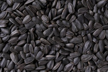 Organik ayçiçeği tohumları dokusu yakın plan.