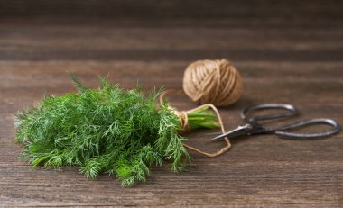 Bir makas ve iple ahşap bir masada bir demet taze dereotu. Seçici odak, kırsal biçim.