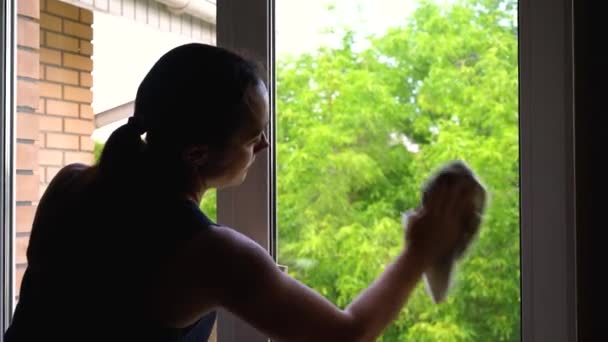 Kobieta myjąca okno. Piękna młoda kobieta myje okno w pokoju — Wideo stockowe