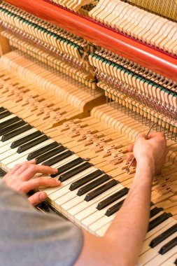 Piyano akort işlemi. Büyük piyanoda çalışan el ve akort aletlerinin yakın çekimi. Akort sırasında Upright Piano 'nun detaylı görüntüsü. Ton gibi. dikey resim.