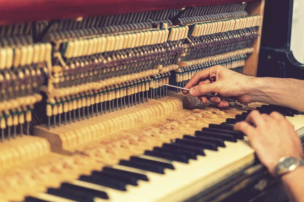 Piyano akort işlemi. Büyük piyanoda çalışan el ve akort aletlerinin yakın çekimi. Akort sırasında Upright Piano 'nun detaylı görüntüsü. ses tonlu.