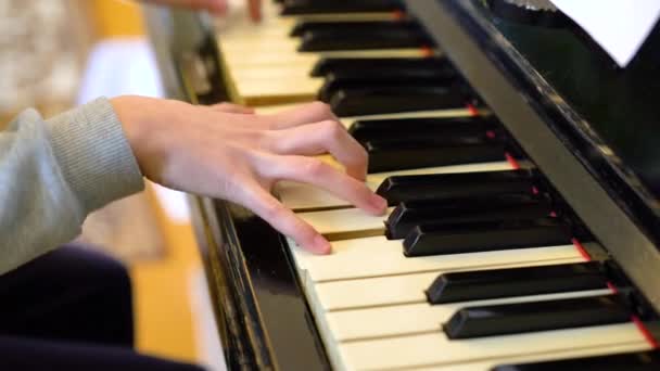 Manos de pianista practicando piano. Artista músico toca instrumento, Concepto Educación musical y performance. Primer plano de la mano de una chica tocando un piano — Vídeo de stock