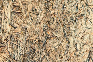 Kabartmalı ahşap arka plan. Ahşap tabak