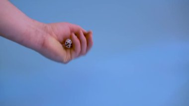Zar oyunu oyna. Kumar Konsepti, Eğlence Oyunları Konsepti