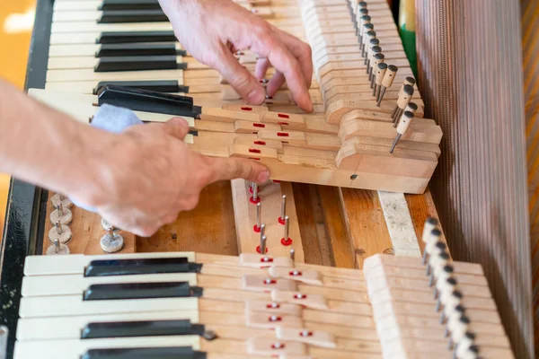 Mengatur Sebuah Piano Tua Sang Master Memperbaiki Sebuah Piano Tua Stok Foto