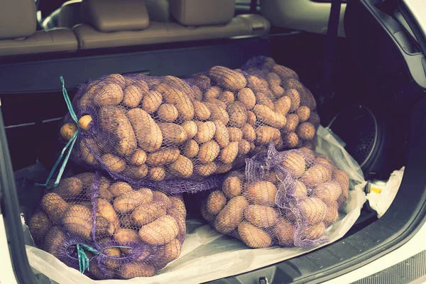 El coche cargado lleva en las bolsas del maletero de patatas. el maletero de un coche lleno de patatas. tonificado Imágenes De Stock Sin Royalties Gratis