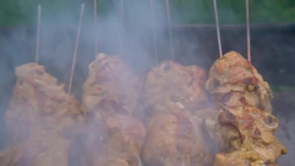Gotowanie kurczaka na grillu. Dym. Marynowany szaszłyk przygotowujący na grillu nad węglem drzewnym. Shashlik lub kebab Shish popularne w Europie Wschodniej. stonowana — Wideo stockowe