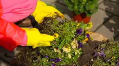 Çocuk koltukları ağaç eldiven