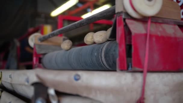 Třídění brambor na farmě — Stock video