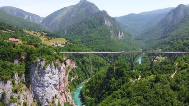 Djurdjevica brug over de Tara rivier — Stockvideo