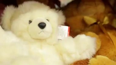 Yumuşak oyuncak ayı üstünde belgili tanımlık sayaç mağaza