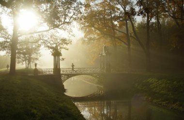 Tsarskoye Selo sisli sabah  