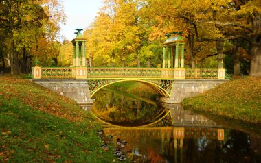Tsarskoye Selo Alexandrovsky Park'ta sonbahar sabahı