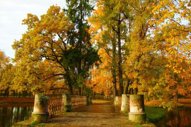 Alexander Park Tsarskoye Selo 