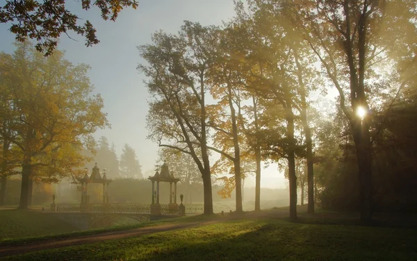 Mañana brumosa en Tsarskoye Selo —  Fotos de Stock