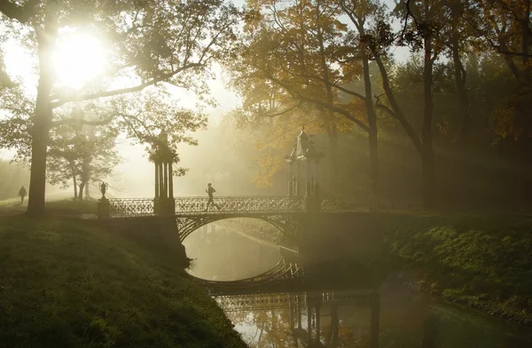 Mistige ochtend in Tsarskoye Selo — Stockfoto