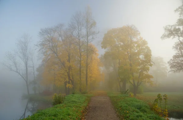 Foggy  morning in Tsarskoye Selo — Stock Photo, Image