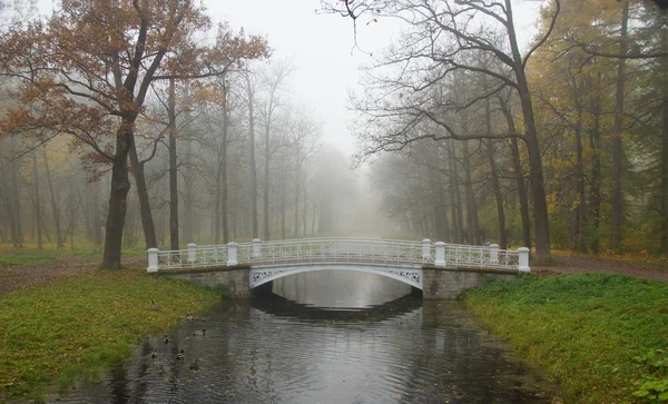 Mglisty jesienny poranek w Alexandrovsky Park — Zdjęcie stockowe
