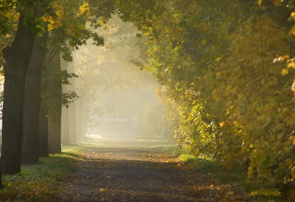 Podzimní ráno v Alexandrovský Park — Stock fotografie