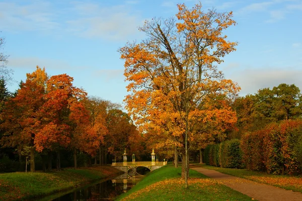Alexander Park sonbahar günü