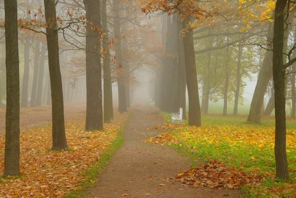 Podzimní mlha v Carskoje Selo — Stock fotografie