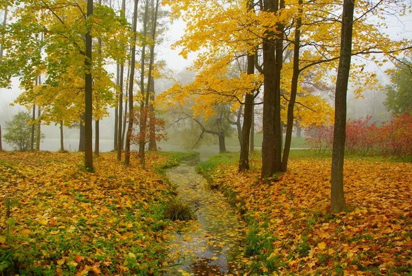 Podzimní ráno v Alexandrovský Park — Stock fotografie
