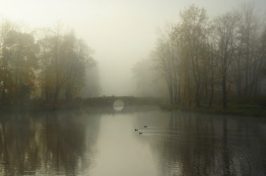 Alexandrovsky Park 'ta sisli bir sabah