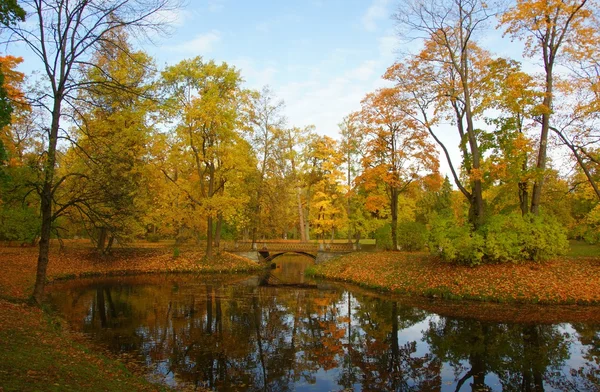 Tsarskoye Selo sonbahar morningn