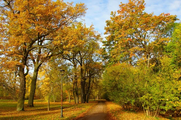 Manhã de outono em Tsarskoye Selo — Fotografia de Stock