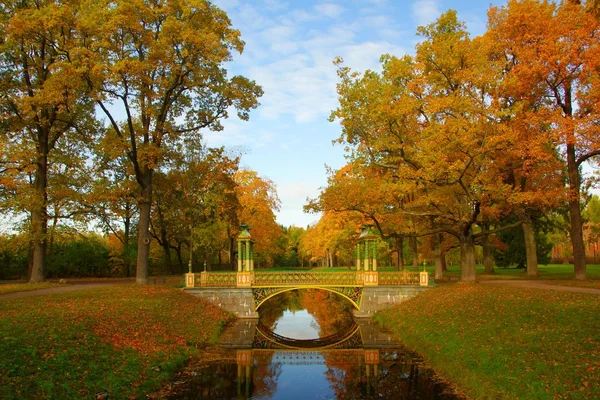 Kinesiska bron i Alexander Park — Stockfoto