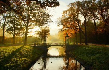 Alexandrovsky Park 'ta puslu bir sonbahar sabahı 