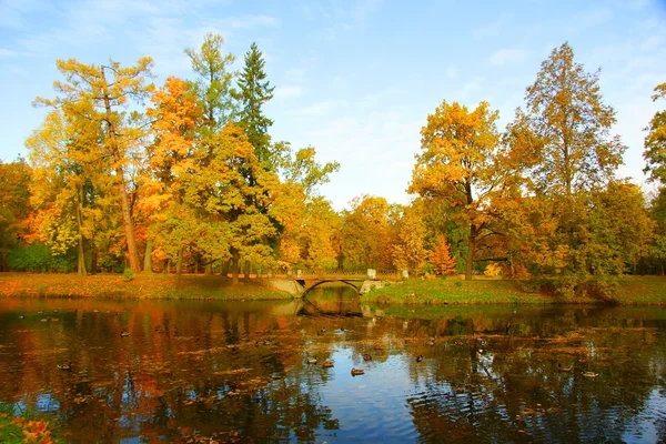 Matin d'automne dans le parc Alexandrovsky — Photo