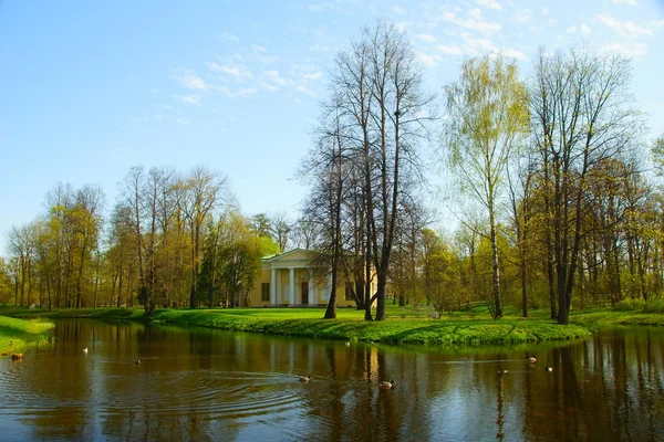 Tsarskoye Selo Catherine park — Stok fotoğraf