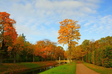 Sonbahar sabahı Alexandrovsky Park
