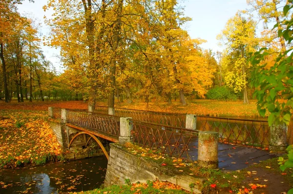 秋天的早晨，在 Alexandrovsky 公园 — 图库照片