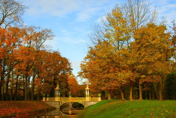 Mattinata d'autunno nel Parco Alexandrovsky — Foto Stock