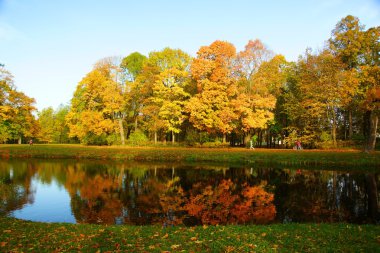 Sonbahar sabahı Alexandrovsky Park