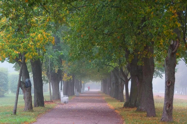 Mlhavé ráno v Carskoje Selo — Stock fotografie