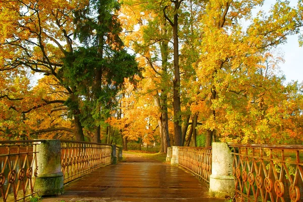 Día de otoño en Tsarskoye Selo —  Fotos de Stock