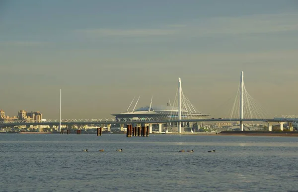 Spaziergang Ufer Des Schwemmgebietes Der Insel Wassiliewski Einem Sonnigen Herbstmorgen — Stockfoto