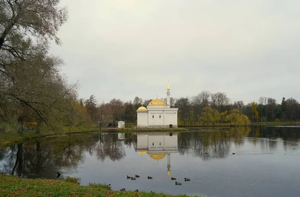 Sombres Matinées Novembre Promenade Dans Parc Catherine Tsarskoe Selo Big — Photo