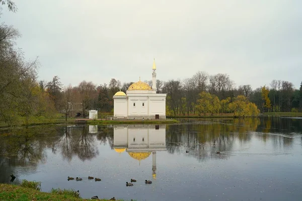 Gloomy November Morgon Och Promenad Catherine Park Tsarskoe Selo Den — Stockfoto