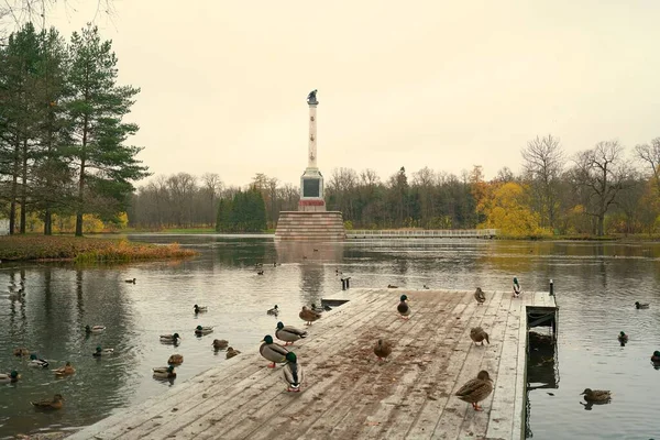 Ponury Listopadowy Poranek Spacer Catherine Park Carskim Selo Bolshoy Pond — Zdjęcie stockowe