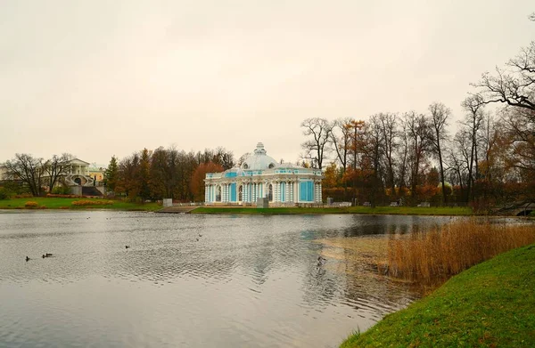 Sombres Matinées Novembre Promenade Dans Parc Catherine Tsarskoe Selo Étang — Photo