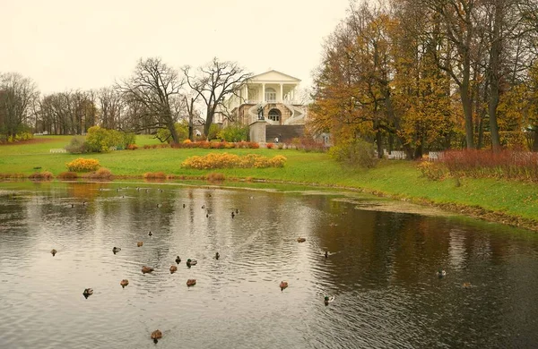 Ponuré Listopadové Ráno Procházka Catherine Park Carskoye Selo Bolsshoy Pond — Stock fotografie